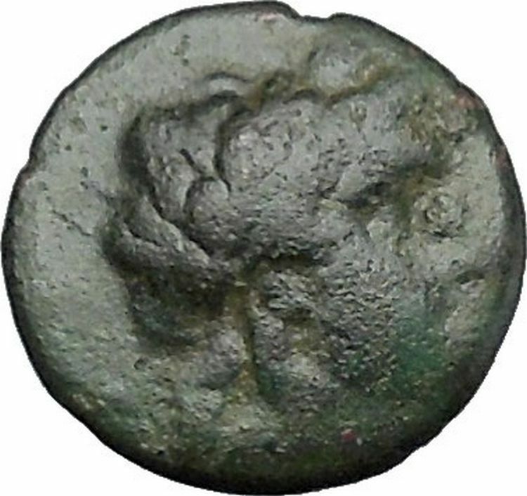 ANTIOCHOS II Theos 261BC Apollo Kithara Lyre Authentic Ancient Greek Coin i49691