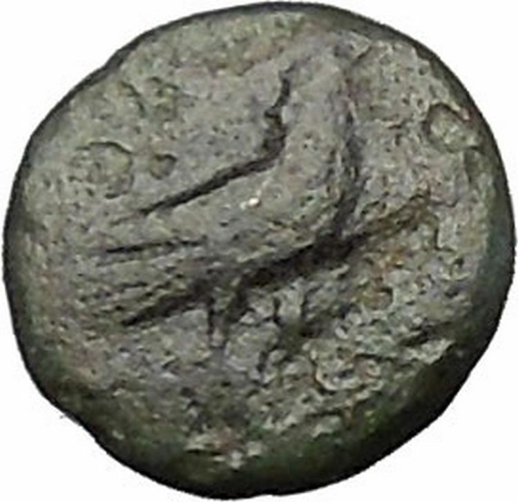 Kyme in Aeolis 350BC EAGLE & VASE on Authentic Ancient Greek Coin i49591