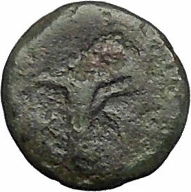 Kyme in Aeolis 350BC EAGLE & VASE on Authentic Ancient Greek Coin i49591