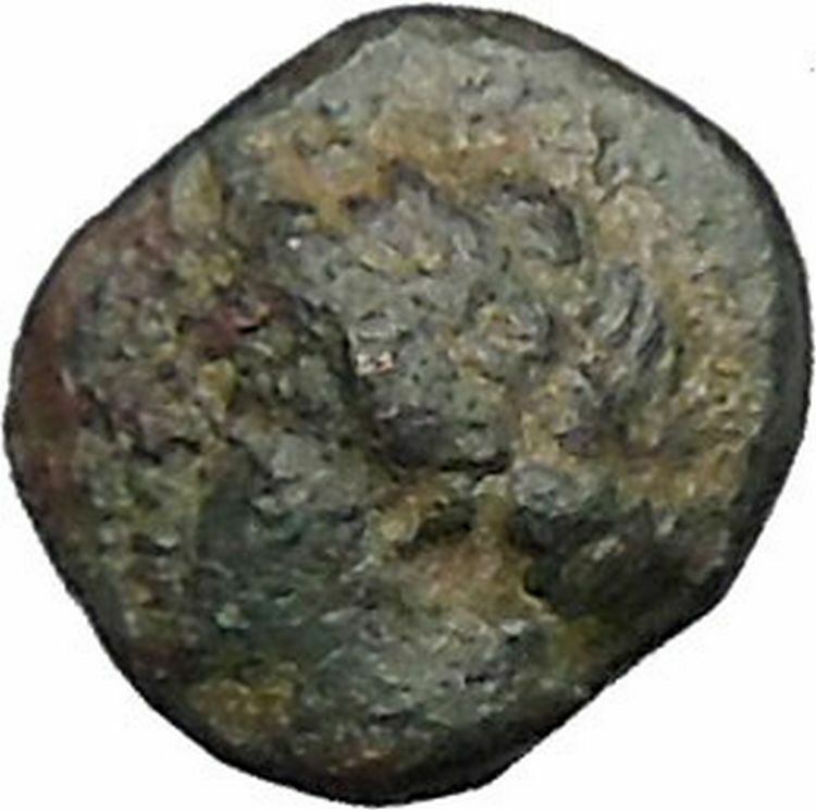 Authentic Ancient Greek City Coin 300-100BC APOLLO Cult Lyre i50273