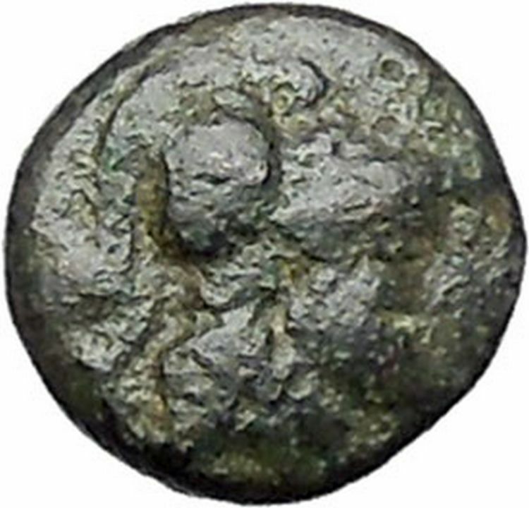 Lysimacheia in Thrace 309BC RARE Ancient Greek Coin Athena Grain wreath i47474