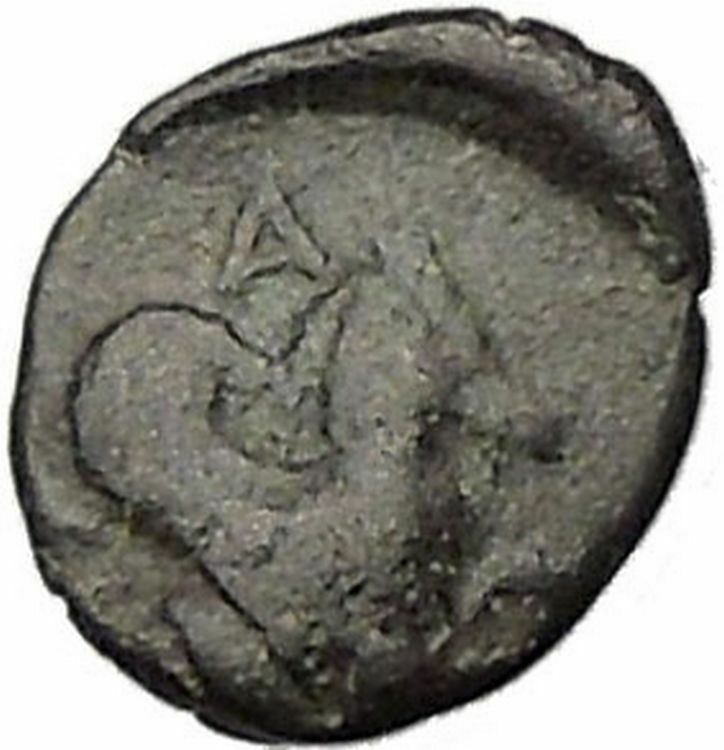 Lampsakos in Mysia 400BC Rare Ancient Greek Coin Female head Pegasus i47863