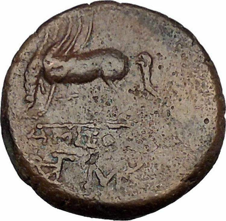 AMISOS in PONTUS MITHRADATES VI the GREAT Time Perseus Pegasus Greek Coin i51191