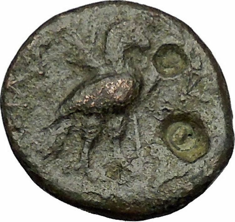 ACHAIOS Rebel KING of SELEUKID Empire Apollo Eagle RARE R2 Greek Coin i51954