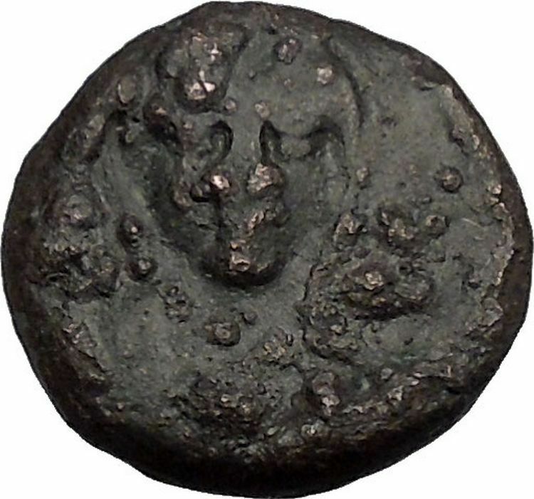 PELLA in MACEDONIA 187BC Facing Demeter Head Bull Ancient Greek Coin i50859