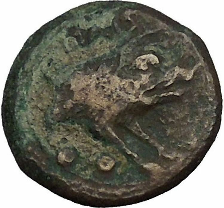 PAESTUM in LUCANIA 1stCenBC Demeter Boar Authentic Ancient Greek Coin i52378