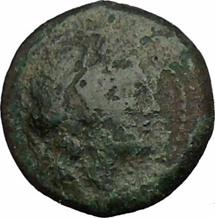 PAESTUM in LUCANIA 1stCenBC Demeter Boar Authentic Ancient Greek Coin i52378