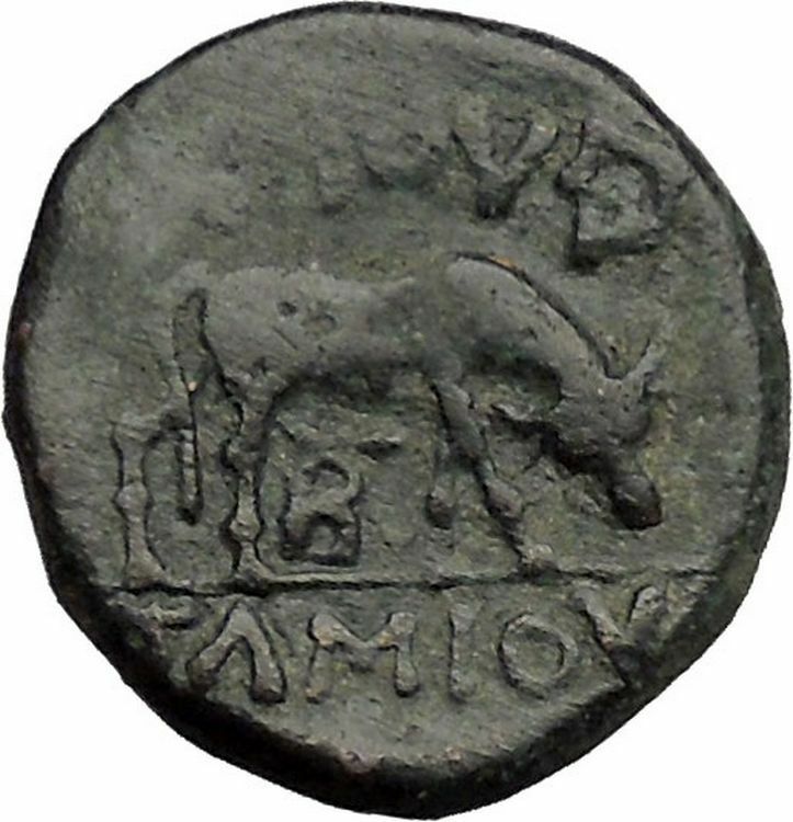 PELLA in MACEDONIA 168BC Roman Quaestor Tamios Athena Bull Greek Coin i50860