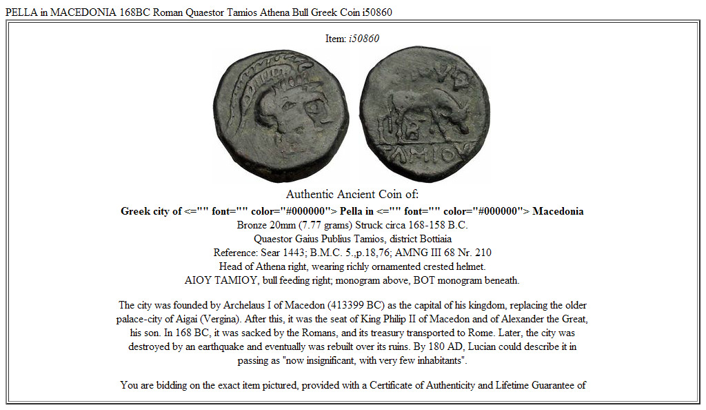 PELLA in MACEDONIA 168BC Roman Quaestor Tamios Athena Bull Greek Coin i50860