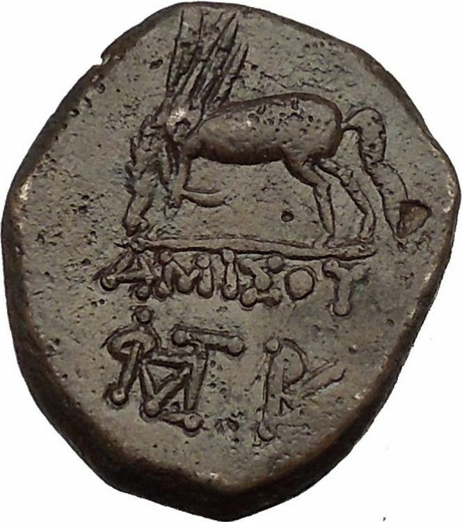 AMISOS in PONTUS MITHRADATES VI the GREAT Time Perseus Pegasus Greek Coin i52402