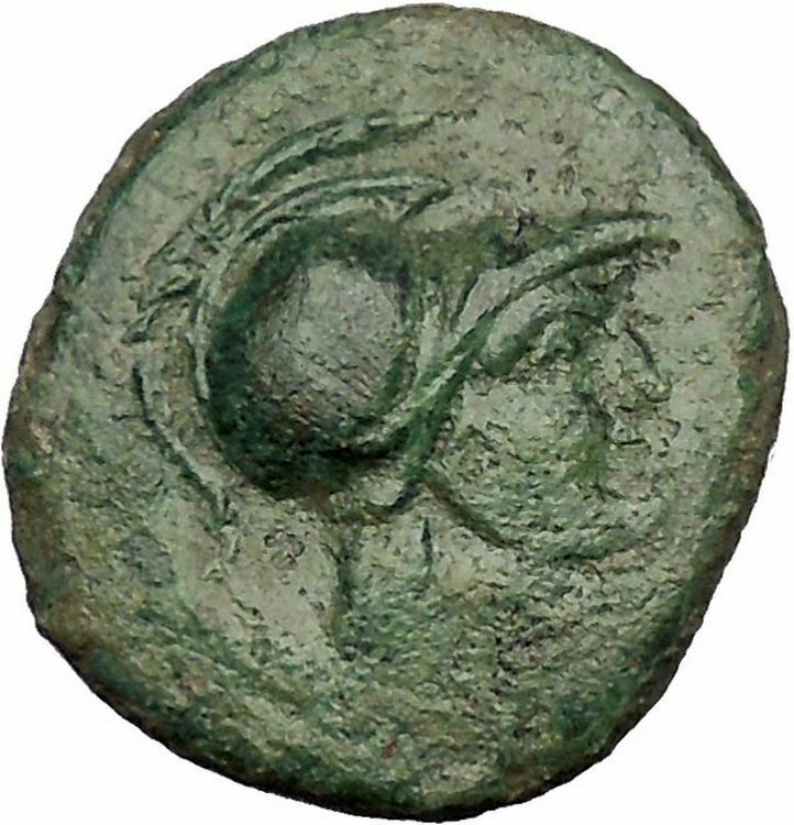 SYRACUSE in SICILY 212BC Nike Sacrifices Bull Athena RARE R1 Greek Coin i52761