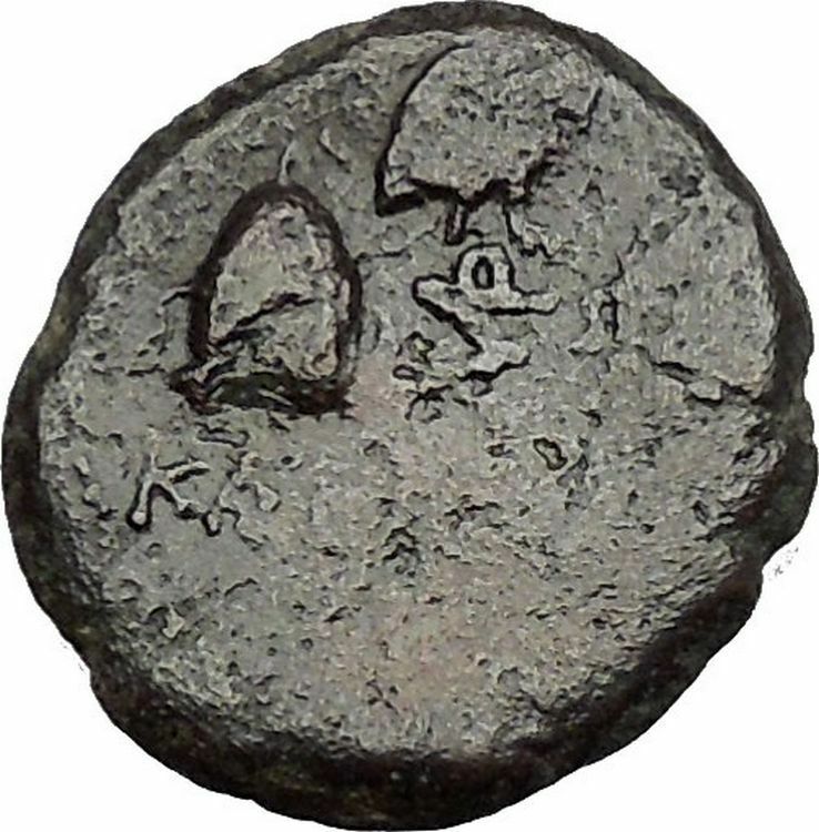 KATANE in SICILY 2-1CenBC RARE R1 River-God Amenanos Owl Greek Coin i53000