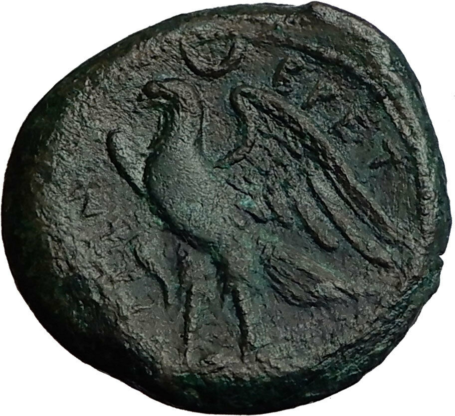 BRETTII Brettian League in BRUTTIUM 2nd Punic War Time 214BC Greek Coin i58566