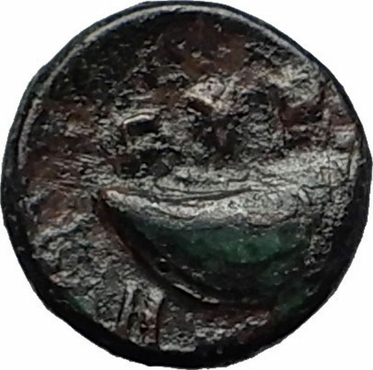 GRYNION or Gyrneion Aeolis 306BC Apollo Shell RARE Ancient Greek Coin i58397