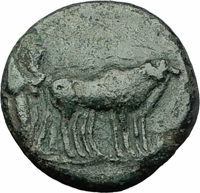 AUGUSTUS 27BC Philippi Macedonia PRIESTS Founding City Oxen Roman Coin i59268