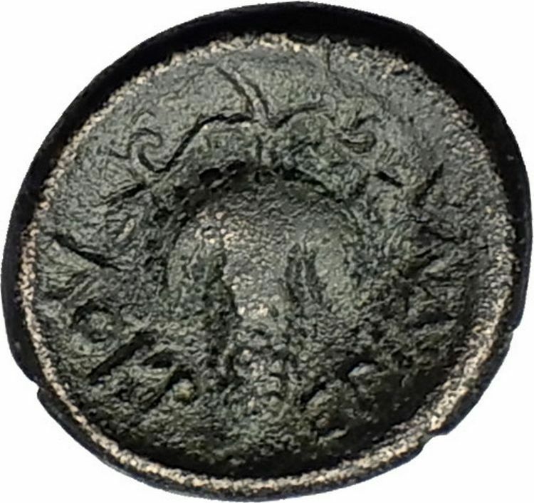 Opus in LOKRIS OPUNTIA 330BC - RARE R2 - Ancient Greek Coin Athena Grapes i59256