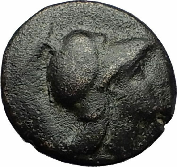 Opus in LOKRIS OPUNTIA 330BC - RARE R2 - Ancient Greek Coin Athena Grapes i59256