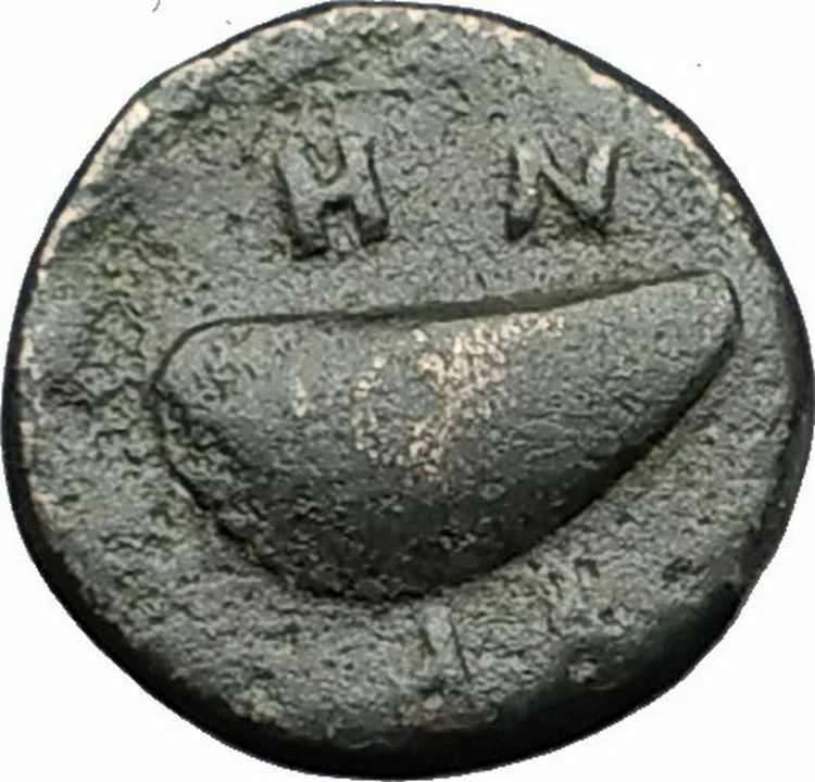 GRYNION or Gyrneion Aeolis 306BC Apollo Shell RARE Ancient Greek Coin i59272