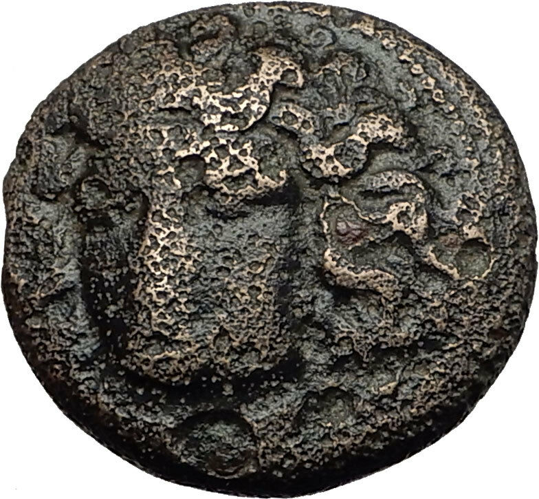 LARISSA in Thessaly 350BC Nymph & Horse on Authentic Ancient Greek Coin i60560