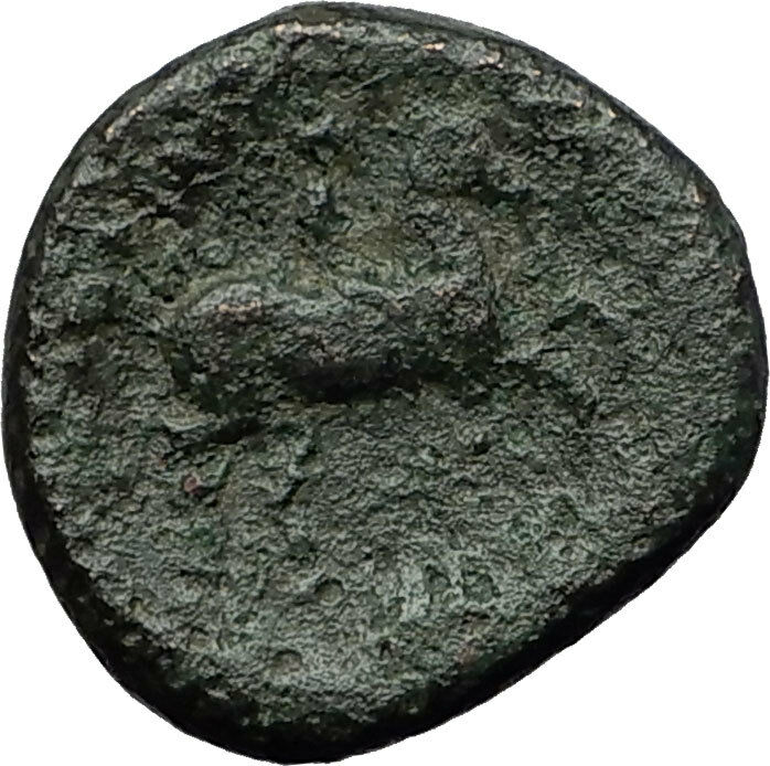 Philip II 359BC Olympic Games HORSE Race WIN Macedonia Ancient Greek Coin i60550