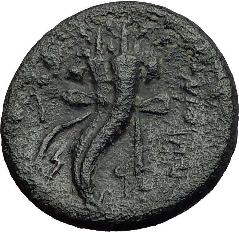 MARATHOS in PHOENICIA 130BC Zeus Cornucopia Authentic Ancient Greek Coin i60723