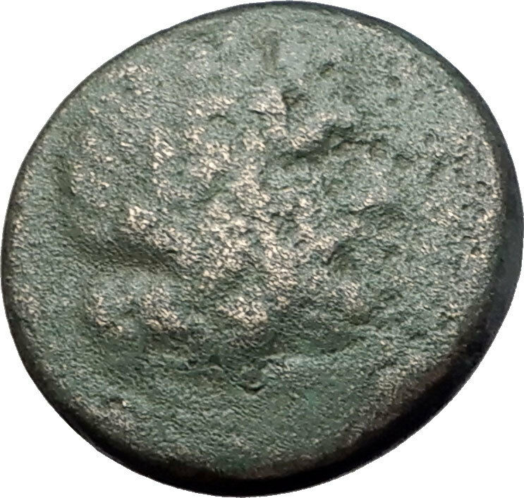 PELLA in MACEDONIA 148BC RARE R1 Authentic Ancient Greek Coin ZEUS & BULL i61465