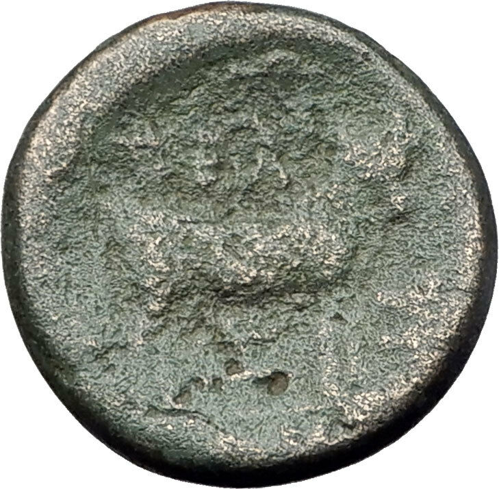 PELLA in MACEDONIA 148BC RARE R1 Authentic Ancient Greek Coin ZEUS & BULL i61465