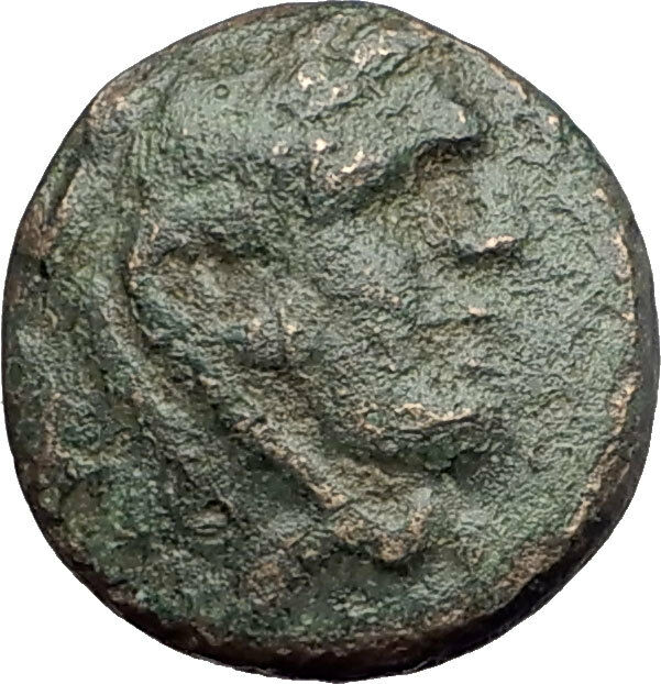 PHILIP V 220BC Macedonia RARE Genuine Ancient Greek Coin HERCULES & HORSE i62155