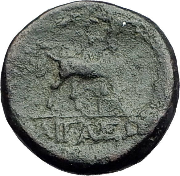 AIGAI in AEOLIS 2-1stCenBC Authentic Ancient Greek Coin APOLLO & GOAT i62263