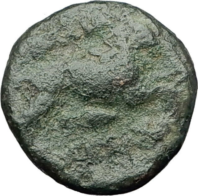 LYSIMACHOS 323BC Authentic Ancient Greek Coin ALEXANDER the GREAT & LION i62273