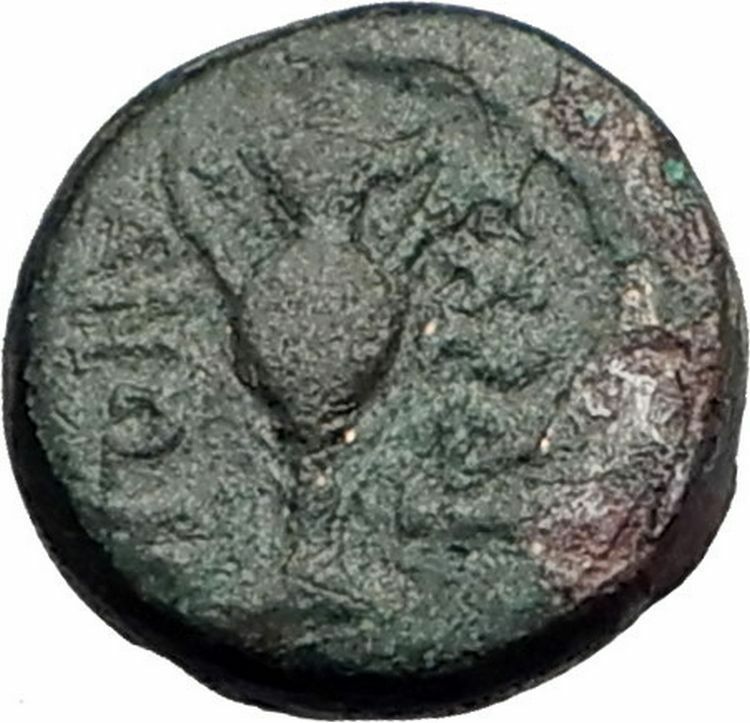 SARDES in LYDIA 133BC RARE Ancient Greek Coin HERCULES Wine Cup KANTHAROS i62307