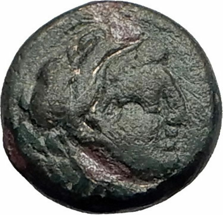 SARDES in LYDIA 133BC RARE Ancient Greek Coin HERCULES Wine Cup KANTHAROS i62307