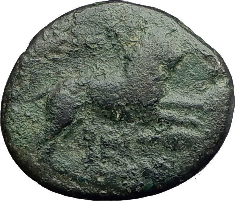 LYSIMACHOS 323BC Authentic Ancient Greek Coin ALEXANDER the GREAT & LION i62637