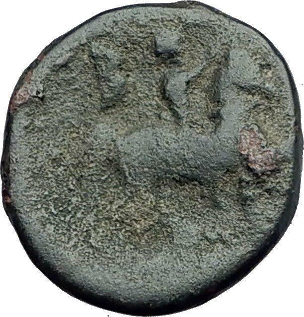 PHILIP V 220BC Macedonia RARE Genuine Ancient Greek Coin HERCULES & HORSE i62657