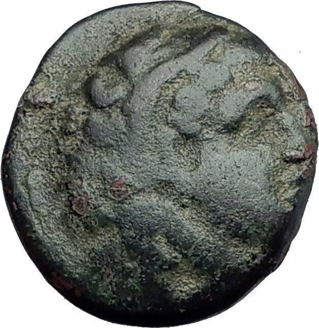 PHILIP V 220BC Macedonia RARE Genuine Ancient Greek Coin HERCULES & HORSE i62657