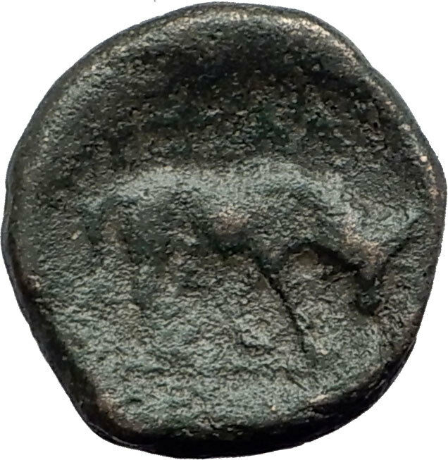 THESSALONICA in Macedonia 146BC Authentic Ancient Greek Coin ATHENA BULL i62747