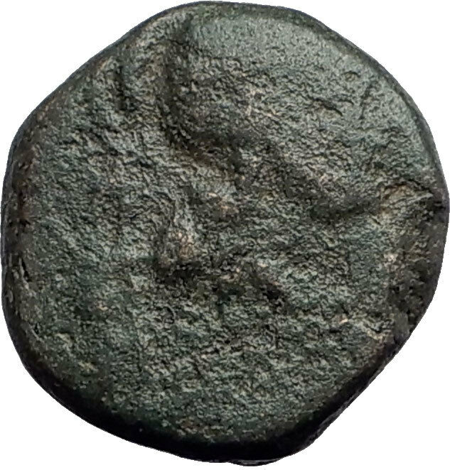 THESSALONICA in Macedonia 146BC Authentic Ancient Greek Coin ATHENA BULL i62747