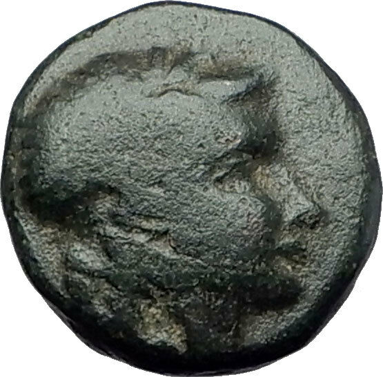 ANTIOCHOS III Megas 222BC RARE R1 Ancient Greek SELEUKID King Coin APOLLO i61573