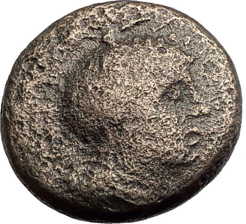 PELLA in MACEDONIA 146BC ROMAN Quaestor Ancient Greek Coin ATHENA & BULL i62807