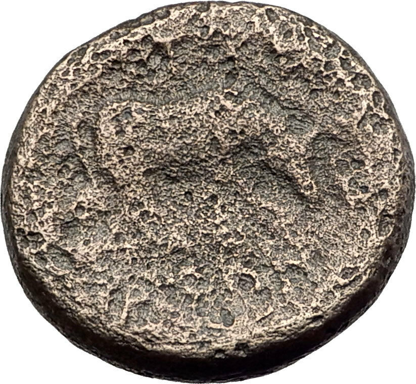 PELLA in MACEDONIA 146BC ROMAN Quaestor Ancient Greek Coin ATHENA & BULL i62807