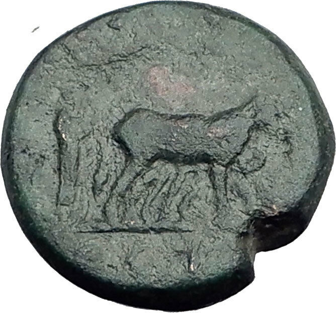 NERVA 96AD Colonist Founding Roman Colony at Parion / Parium Mysia w BULL i63467