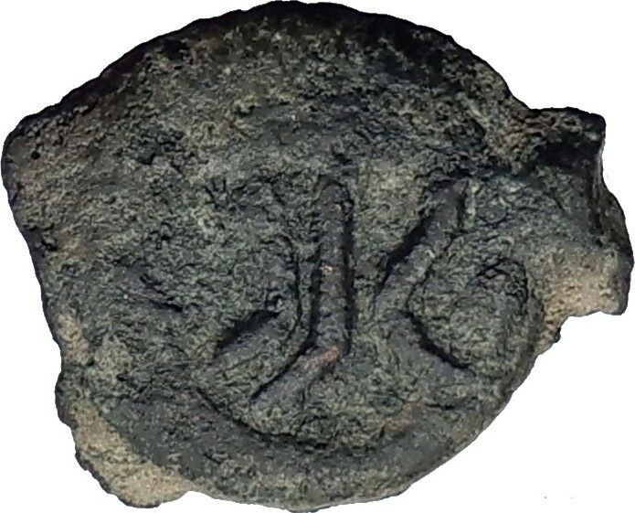 HEROD I the GREAT 40BC Jerusalem Authentic Ancient BIBLICAL Jewish Coin i64104