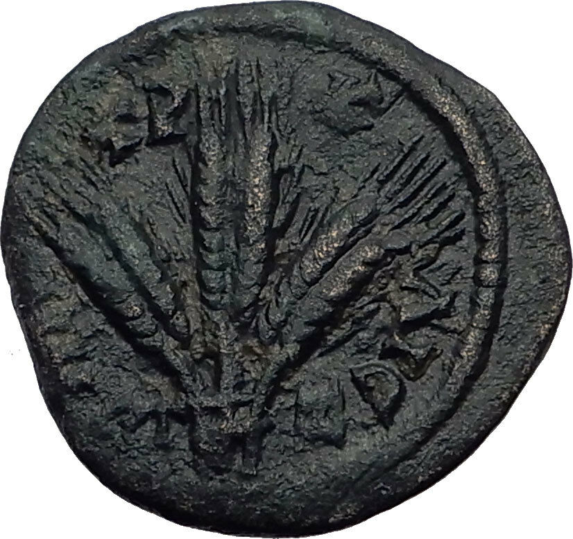 SEVERUS ALEXANDER 227AD Caesarea Eusebia Cappadocia Ancient Roman Coin i64121