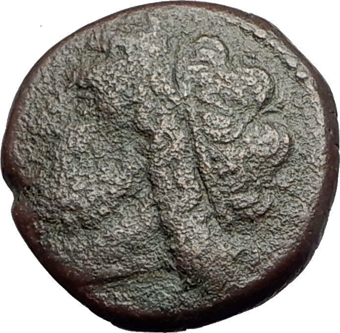 SYRACUSE SICILY King Hieron II 240BC Ancient Greek Coin POSEIDON DOLPHIN i62864