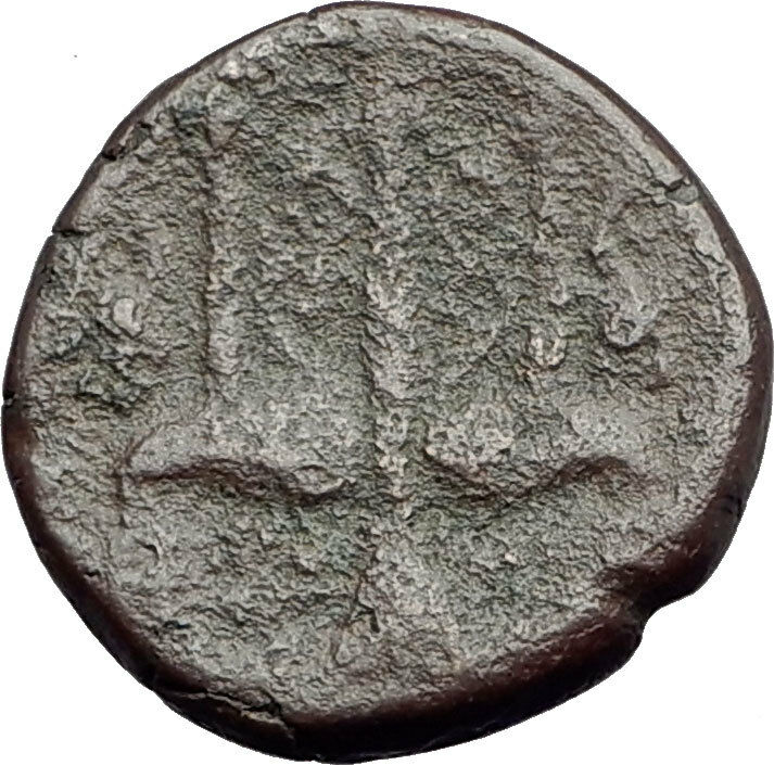 SYRACUSE SICILY King Hieron II 240BC Ancient Greek Coin POSEIDON DOLPHIN i62864