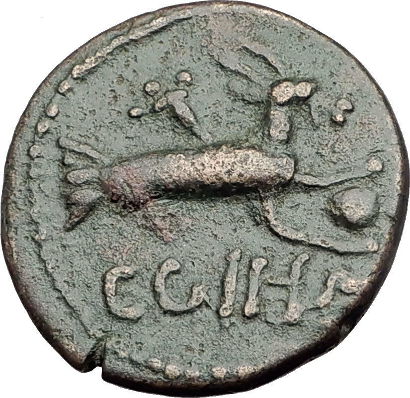 SEVERUS ALEXANDER 222AD Parium Parion Mysia Ancient Roman Coin CAPRICORN i64752