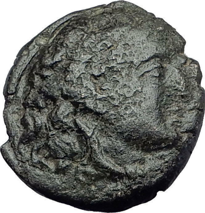 PHILIP V PERSEUS Kings of Macedonia Ancient Greek Coin HERCULES & HORSE i64254