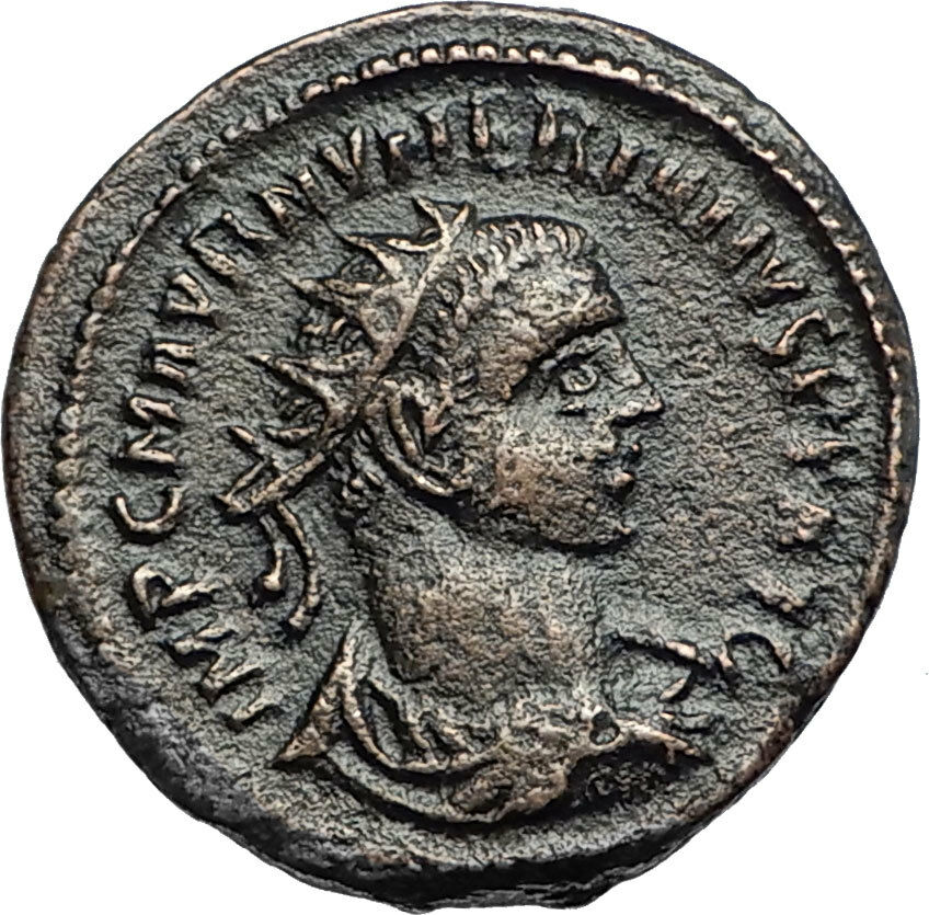 NUMERIAN w Jupiter or Carus Authentic Ancient 283AD Roman Coin Tripolis i67266