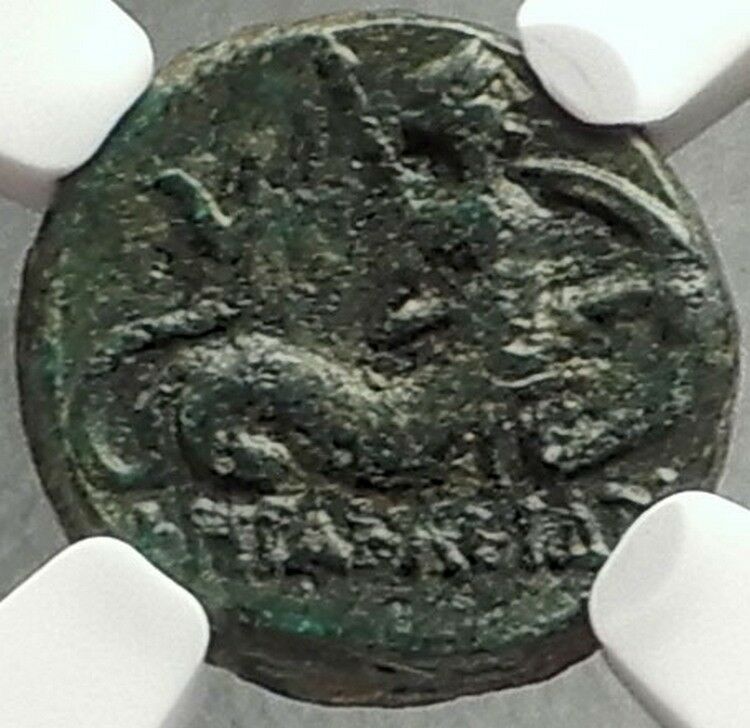 HERAKLEIA in LUCANIA Rare 3-1CenBC Ancient Greek Coin MERMAN Glaukos? NGC i68623