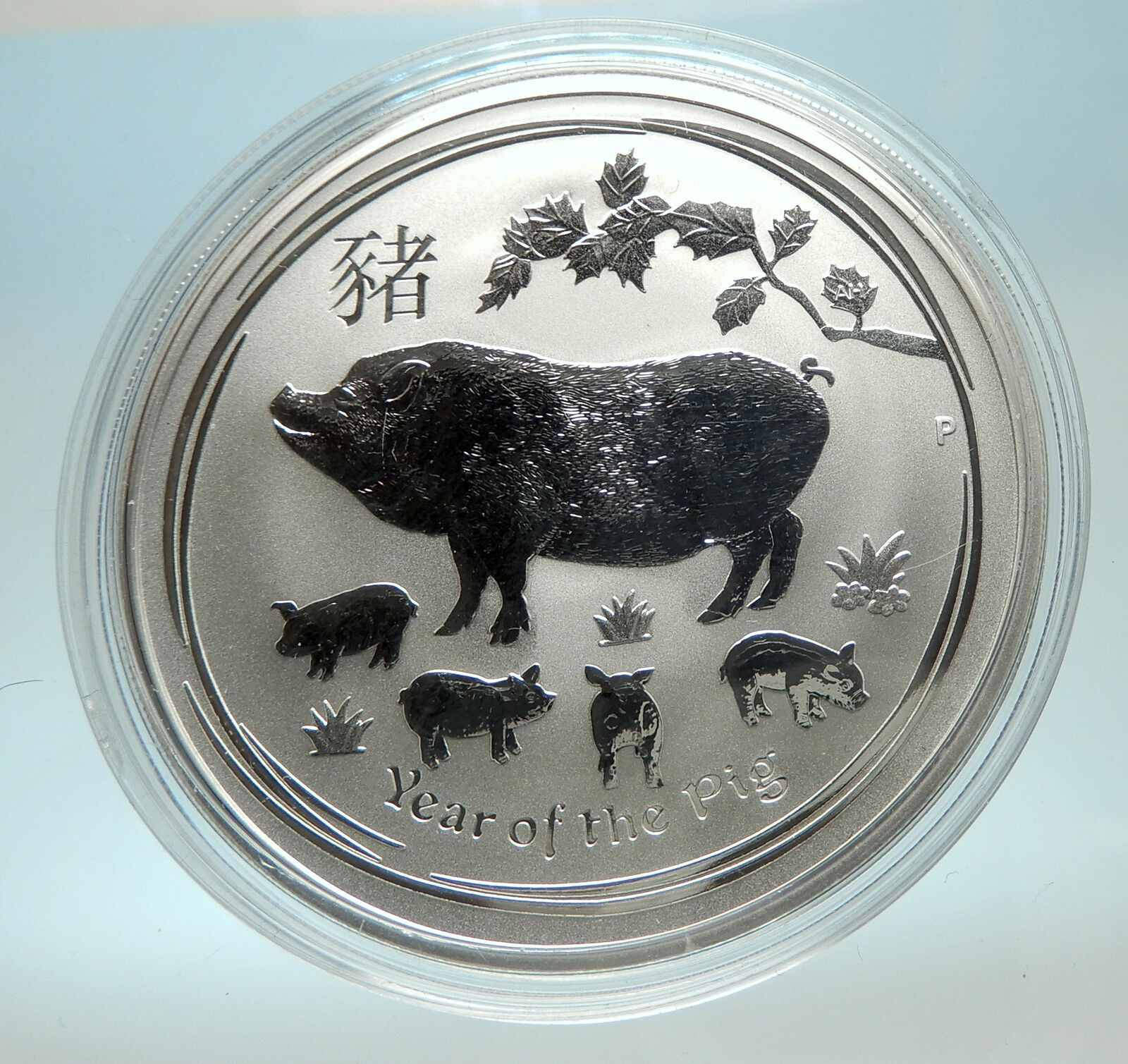 2019 AUSTRALIA Elizabeth II Chinese Zodiac Pig Year Genuine Silver Coin i76594